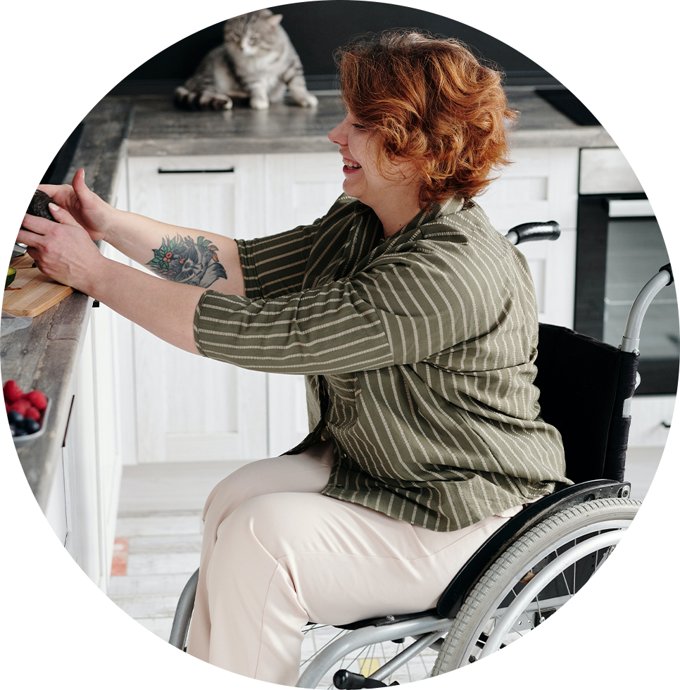 NIU Sistemas de Seguridad