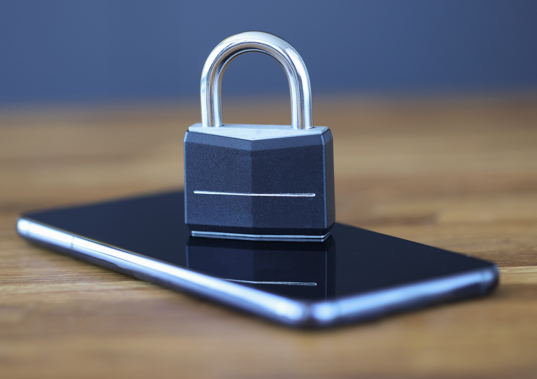 NIU Sistemas de Seguridad